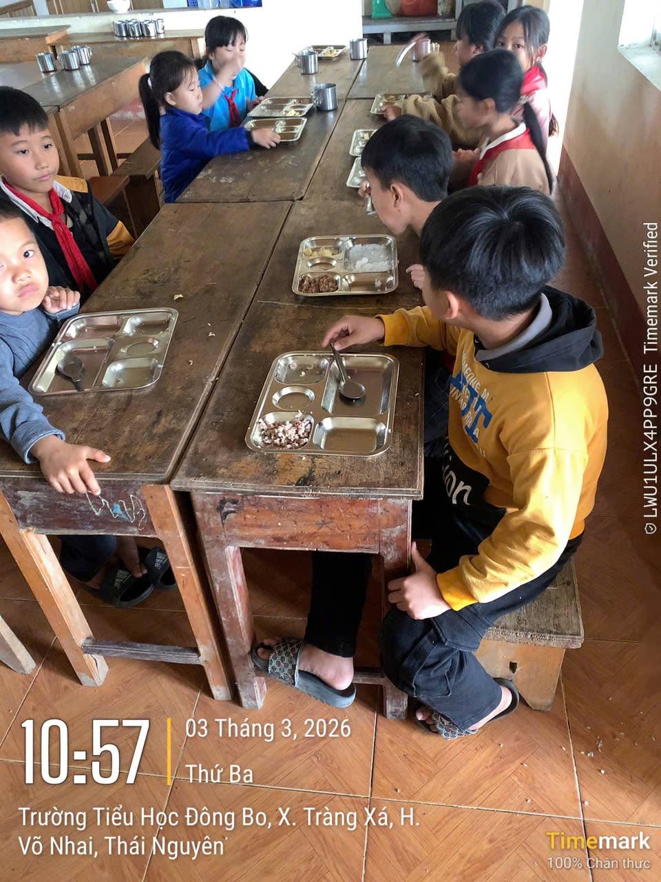 Ảnh hoạt động 8