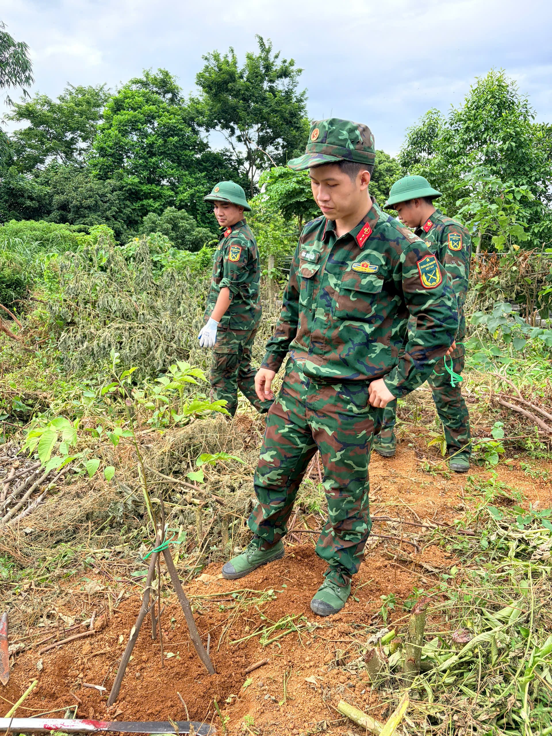 Ảnh hoạt động 32
