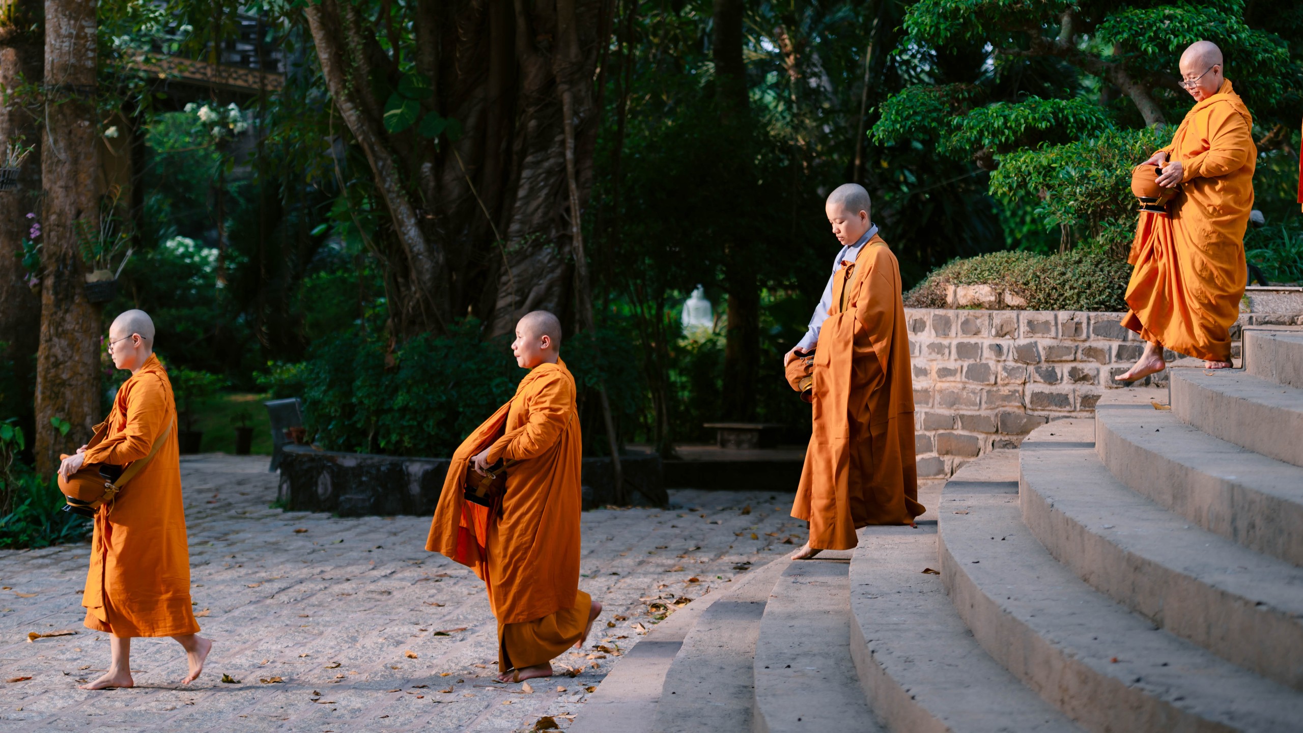 Ảnh hoạt động 8