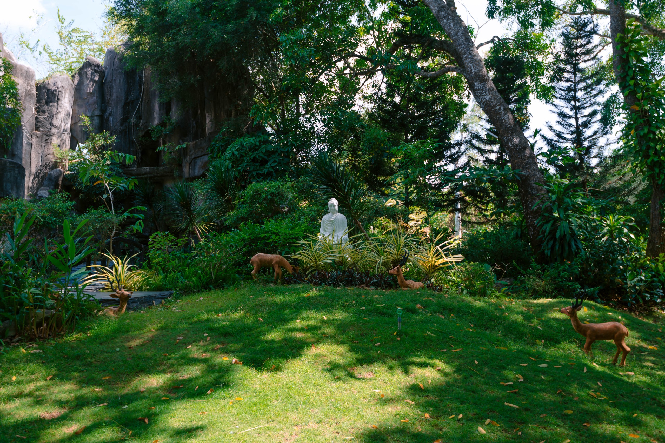 Ảnh hoạt động 1