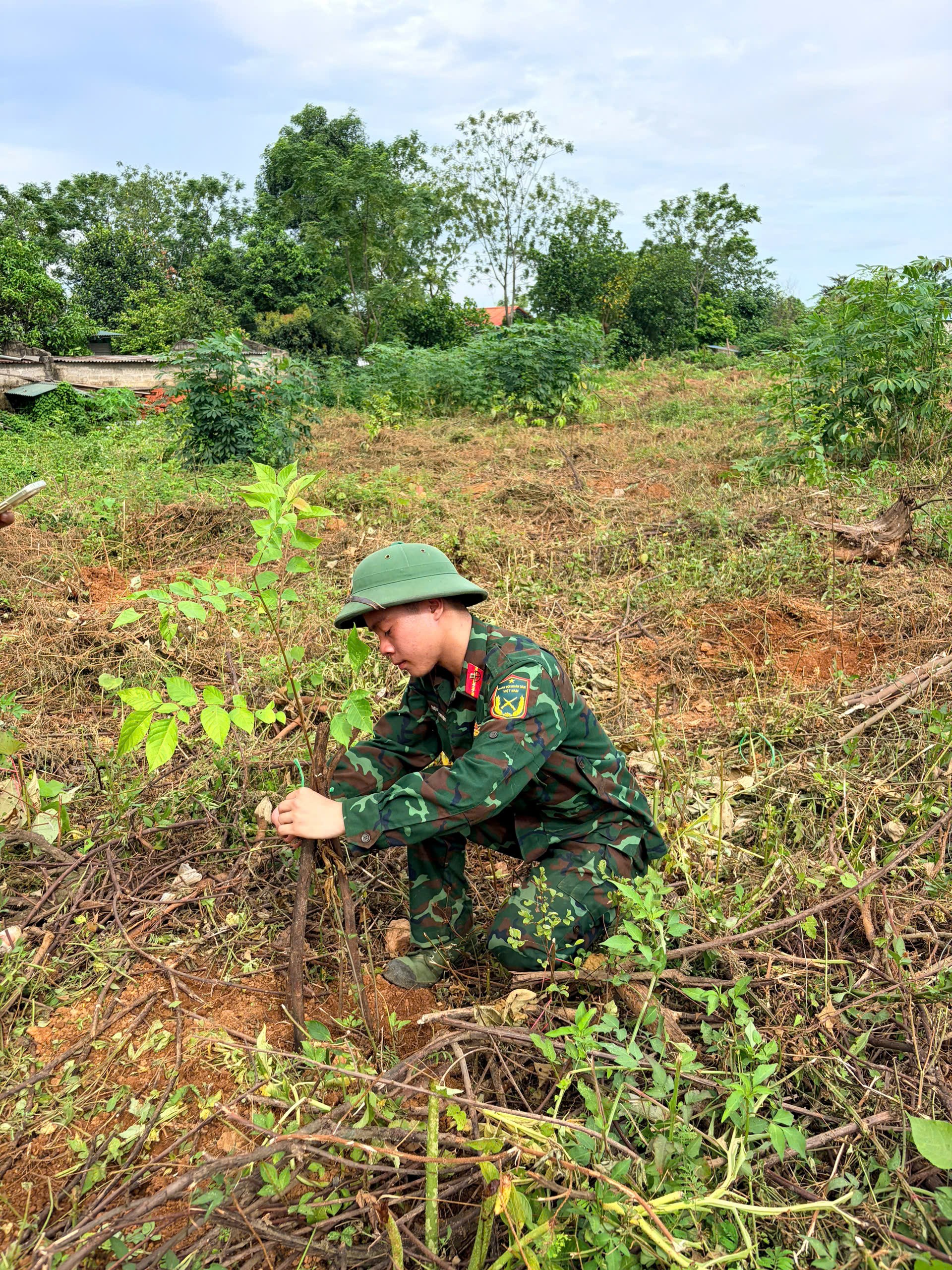 Ảnh hoạt động 29