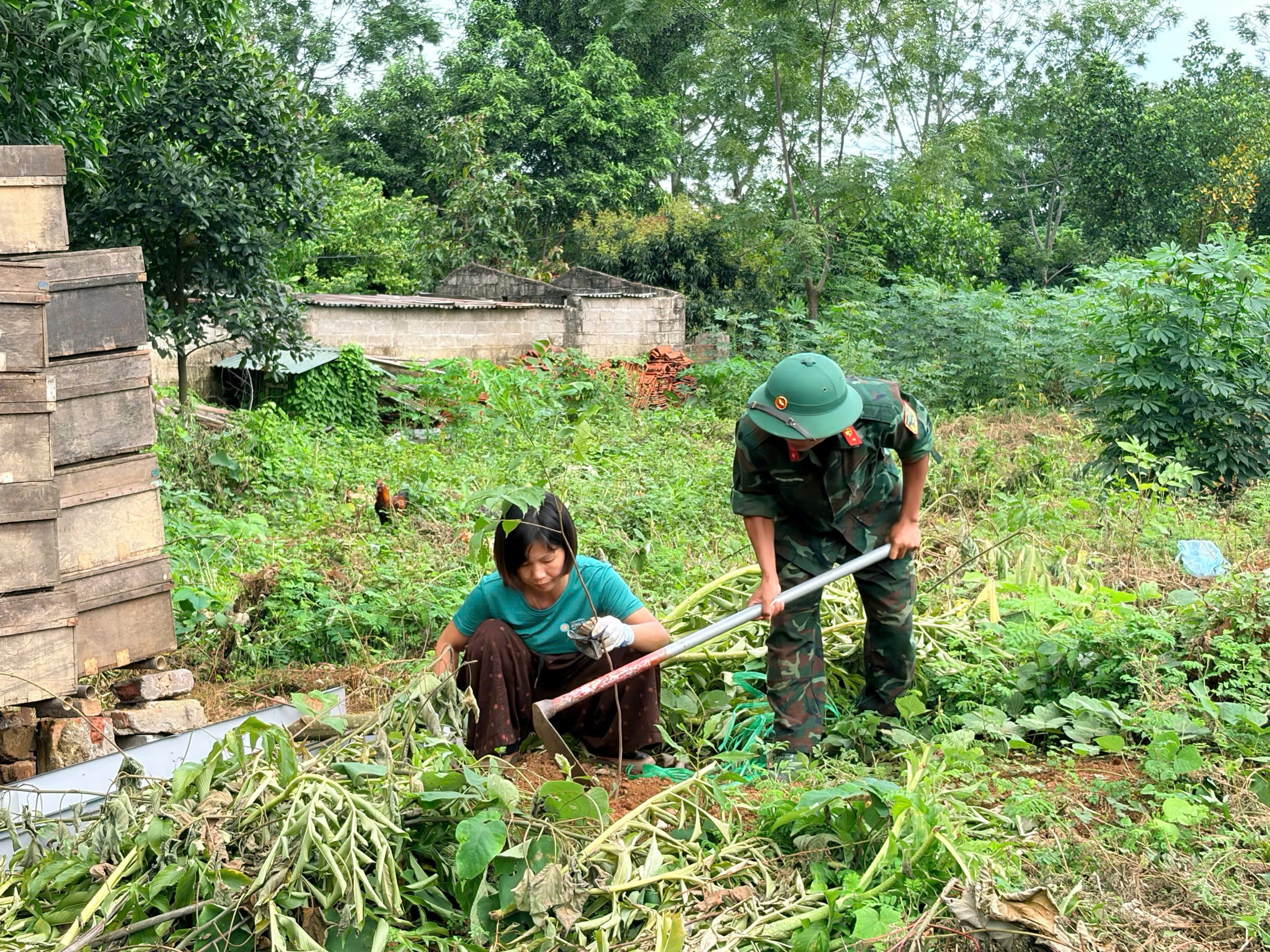 Ảnh hoạt động 40