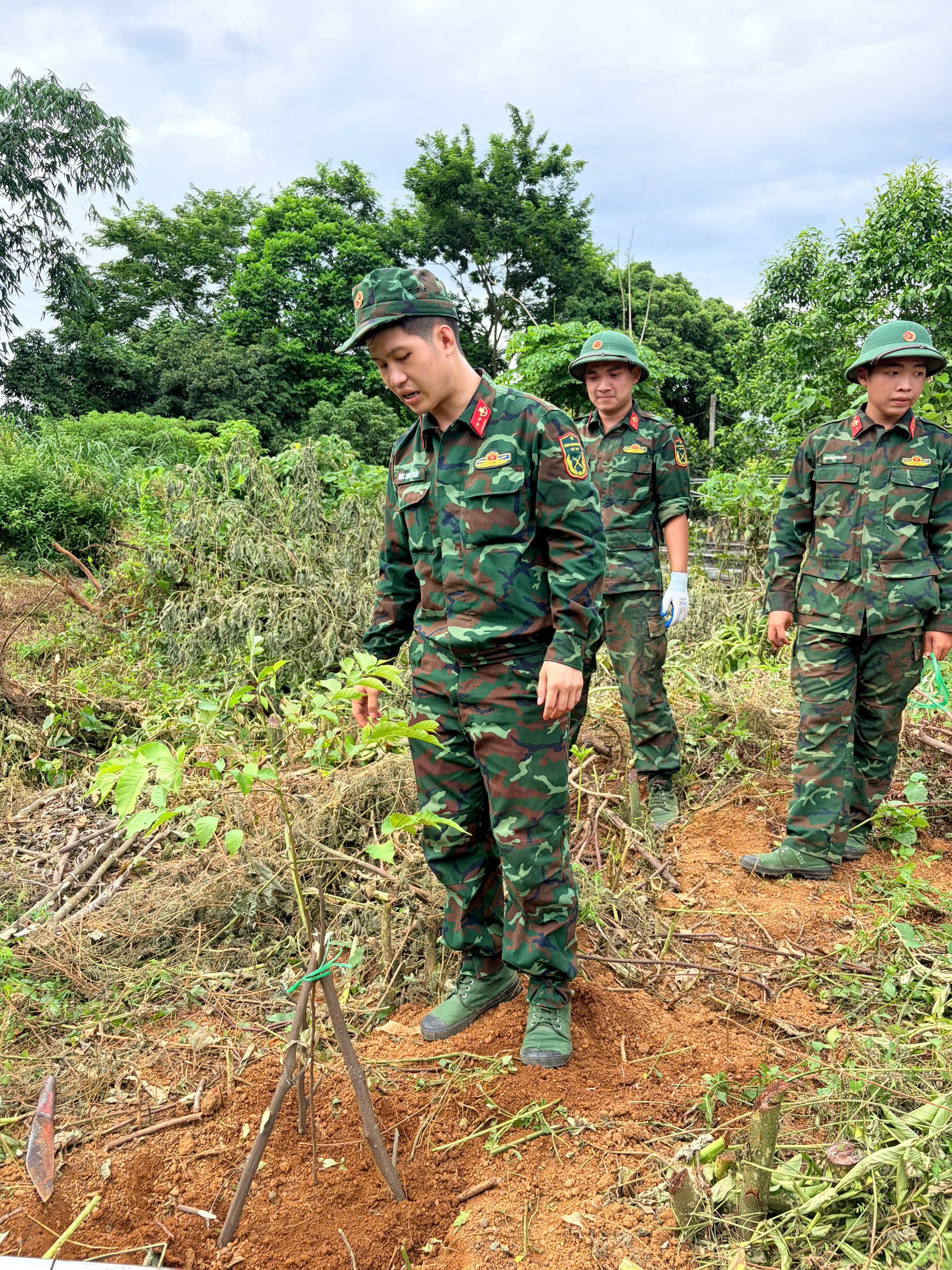 Ảnh hoạt động 33