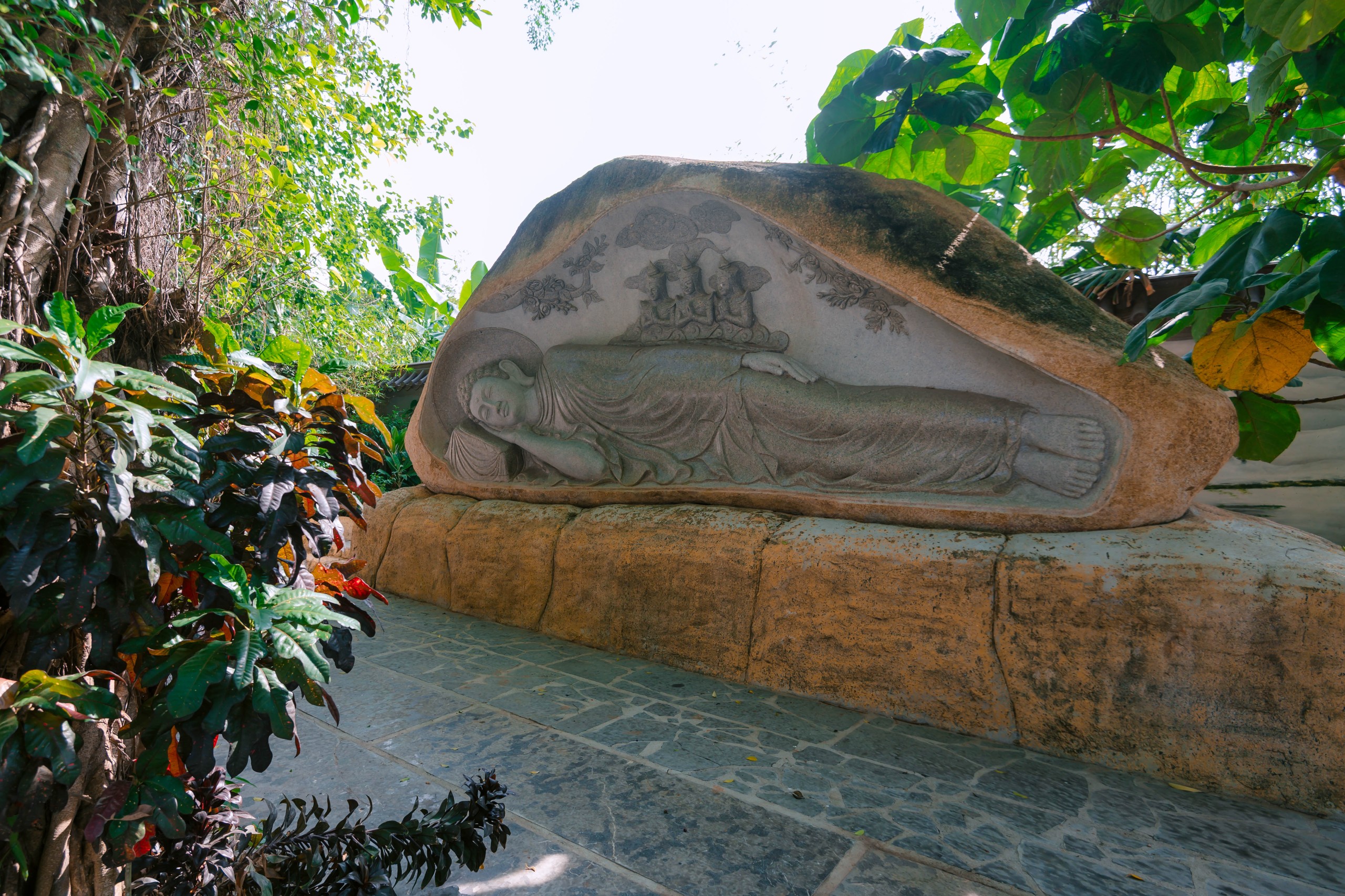 Ảnh hoạt động 5