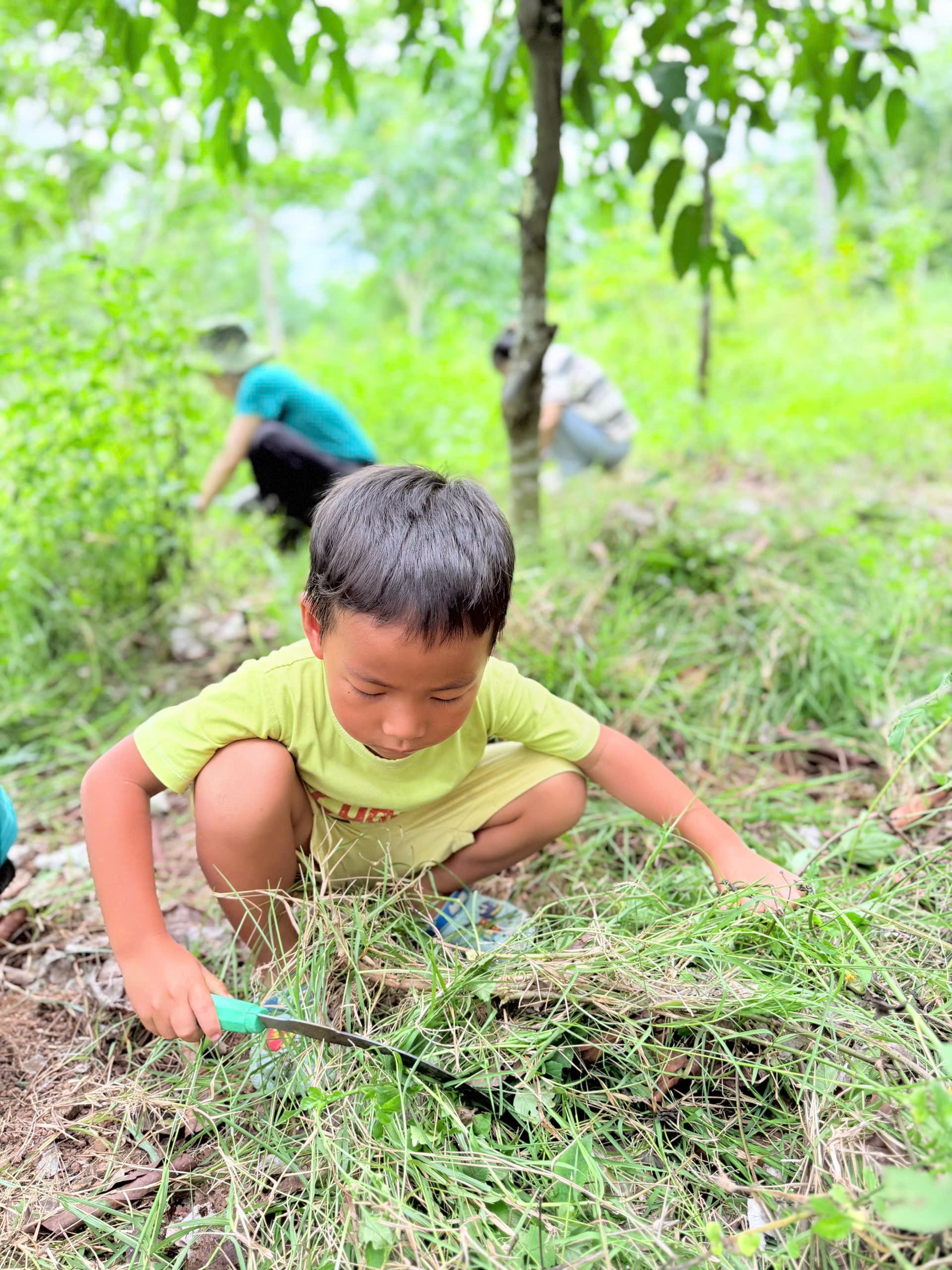Ảnh hoạt động 4