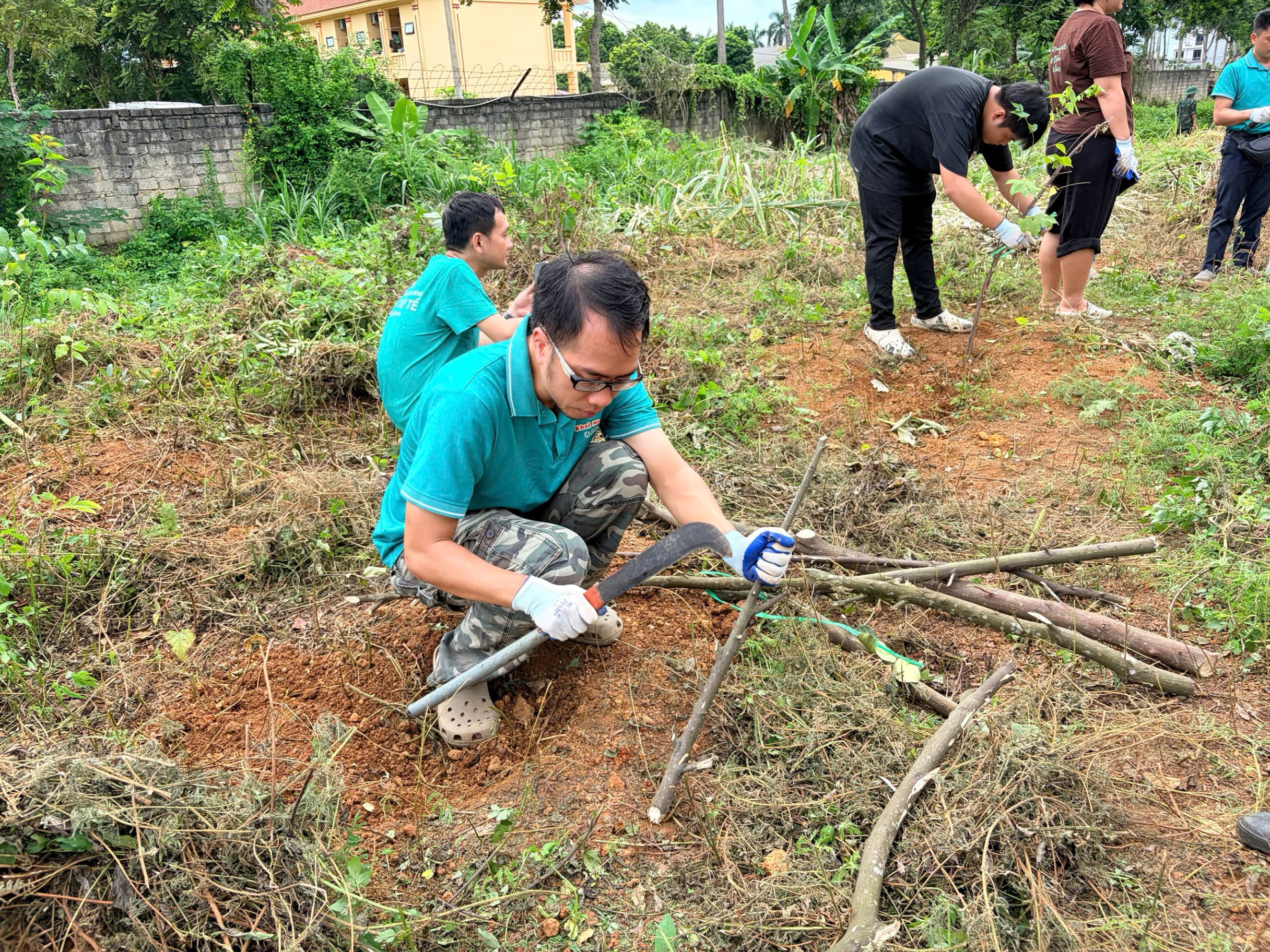 Ảnh hoạt động 31