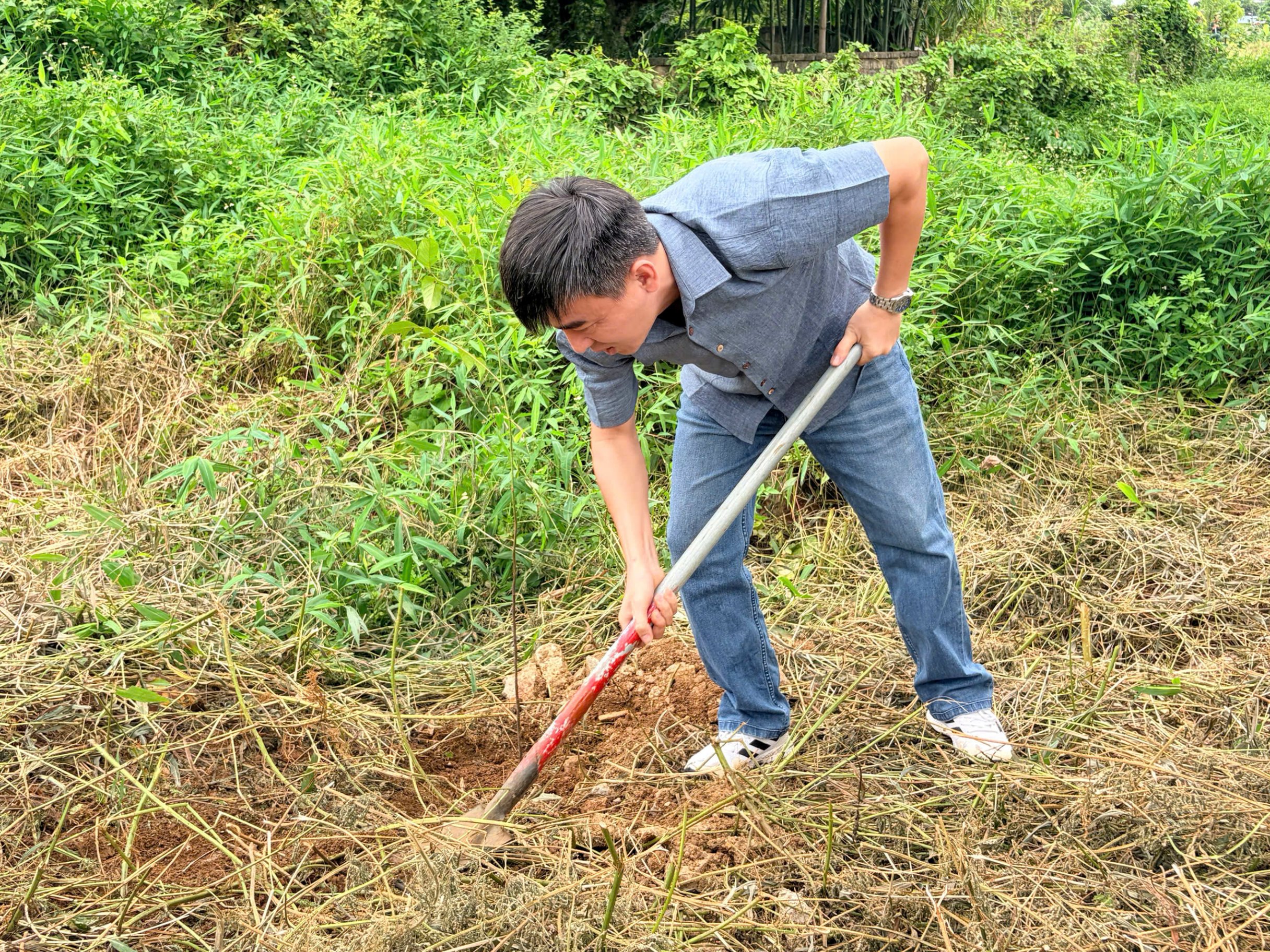 Ảnh hoạt động 15