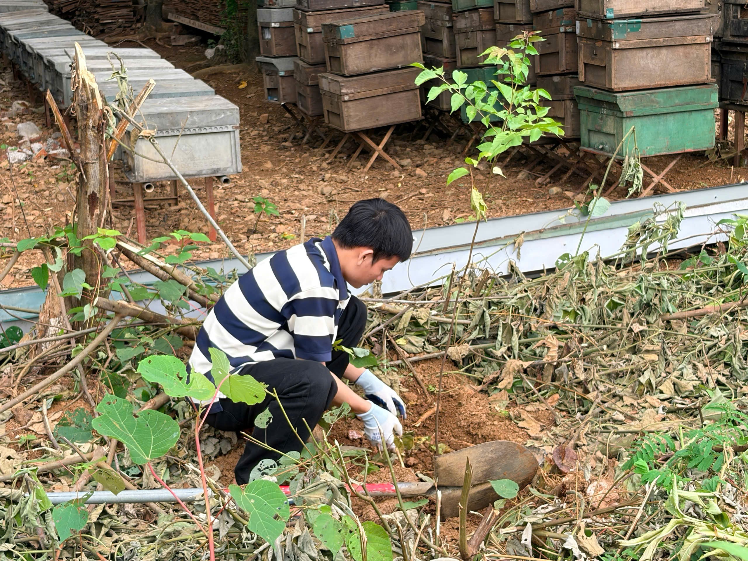 Ảnh hoạt động 41