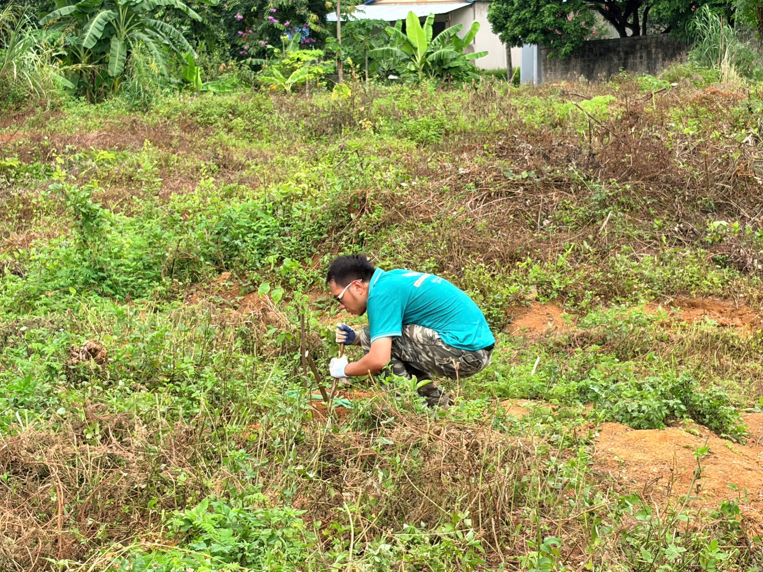 Ảnh hoạt động 26