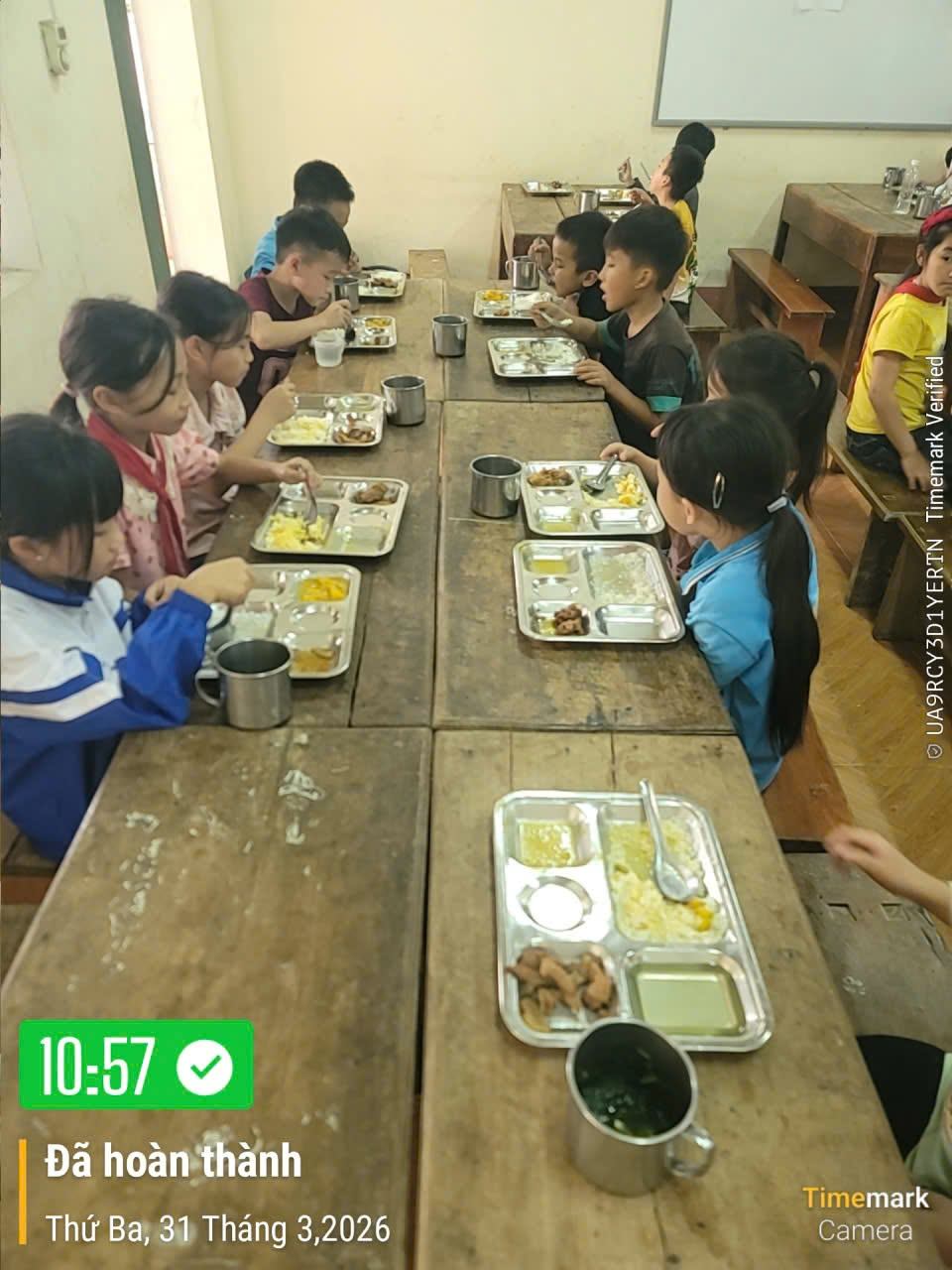 Ảnh hoạt động 11